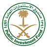 The Public Investment Fund